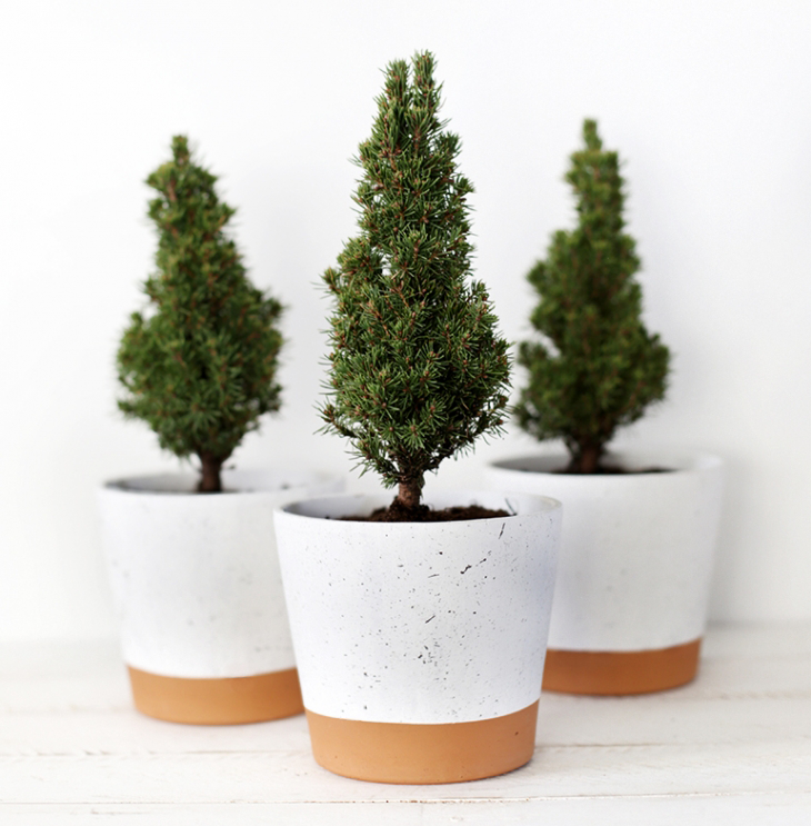 diy spruce tree in splattered planter, DIY painted pot, DIY ceramic pot, DIY gifts for friends, DIY gifts for coworkers, DIY gifts for neighbors