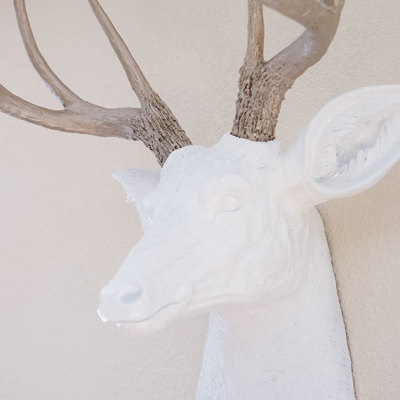 DIY faux deer head (for under $50)