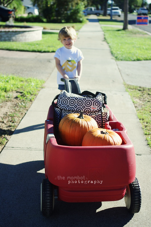 How to photography pumpkin carving, Photography tips on TheMombot.com