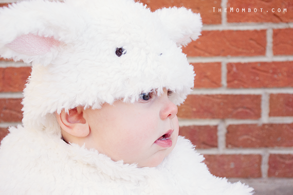 Little Bo Peep and her sheep costumes, Halloween 2014 | TheMombot.com